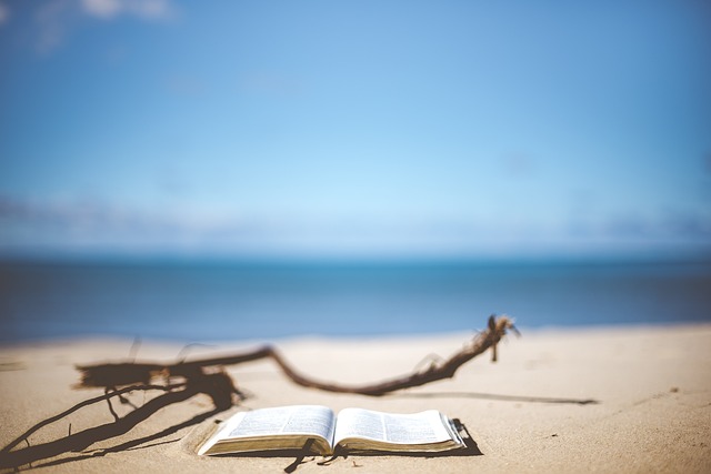 Strand mit Buch